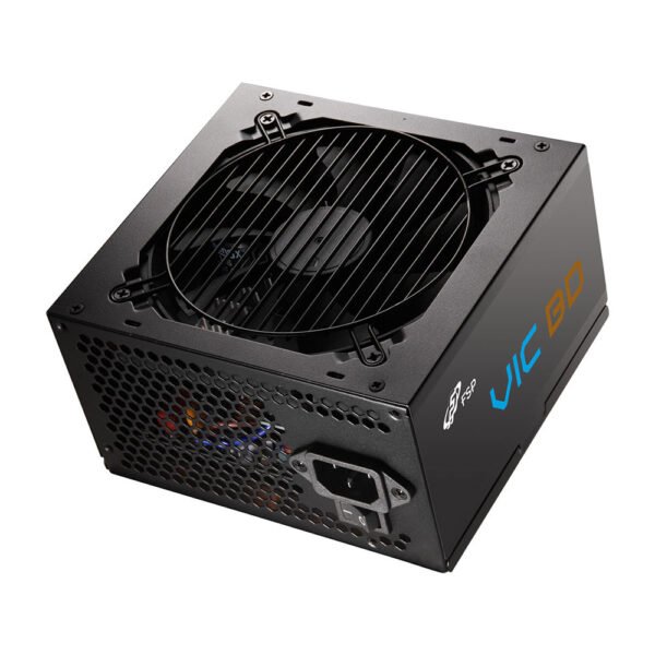 FSP VIC BD 550W PSU tampak depan 1